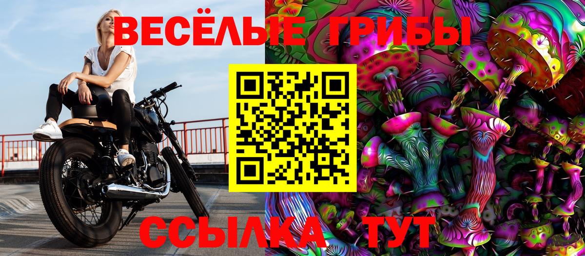 Галлюциногенные грибы Psilocybine cubensis Унеча
