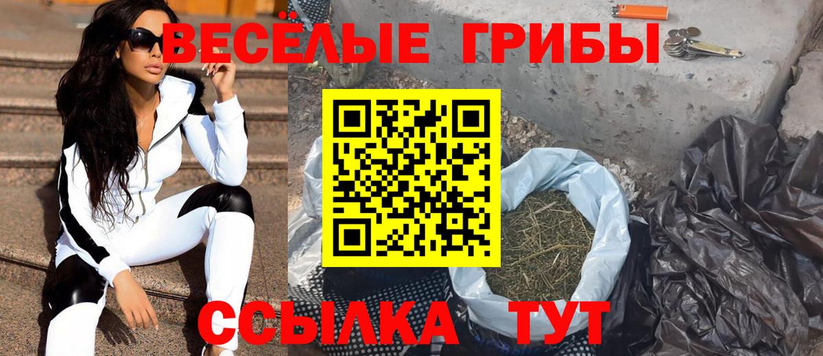 Унеча  Галлюциногенные грибы GOLDEN TEACHER  Вход с VPN 